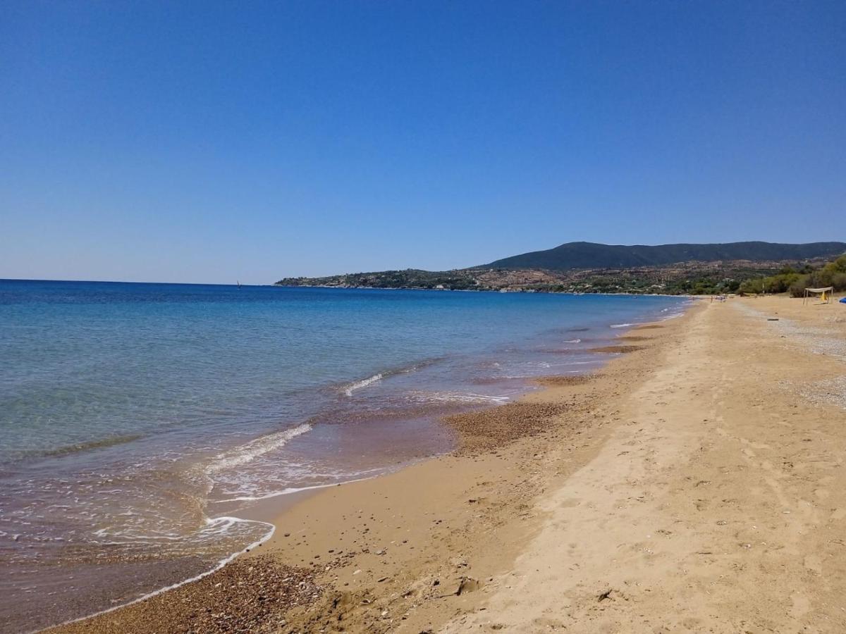 Koroni Stone House, Newly Built Studios By The Sea 外观 照片